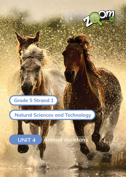 Natural Sciences and Technology Grade 5 Term 1 Unit 4 Animal skeletons