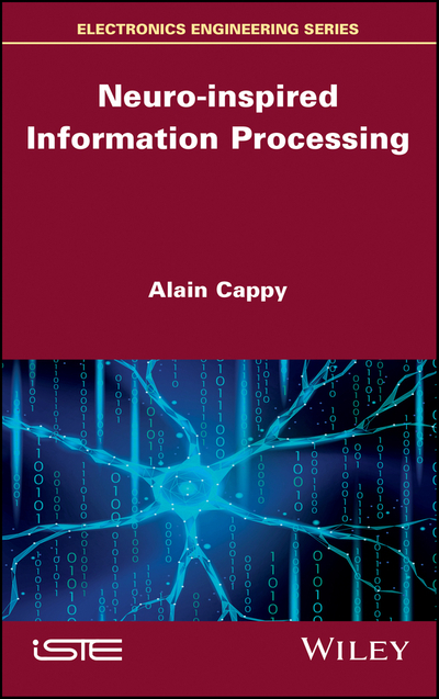 Neuro-inspired Information Processing