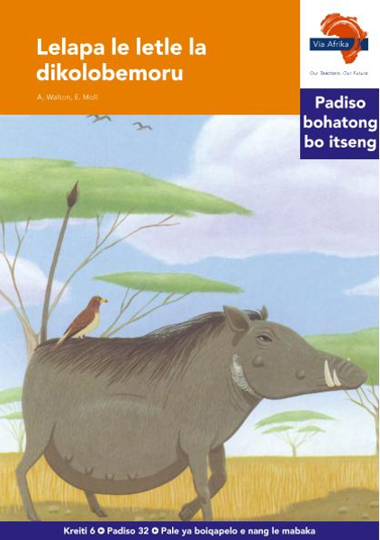 eBook (ePDF): Via Afrika Sesotho HL G06 Reader 32