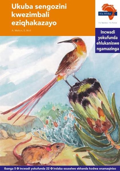 eBook (ePDF): Via Afrika isiZulu HL G05 Reader 22