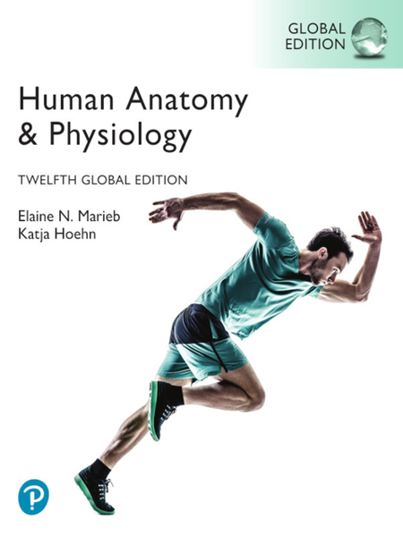 HUMAN ANATOMY AND PHYSIOLOGY GLOBAL EDITION