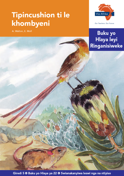 eBook (ePDF): Via Afrika Xitsonga HL G05 Reader 22