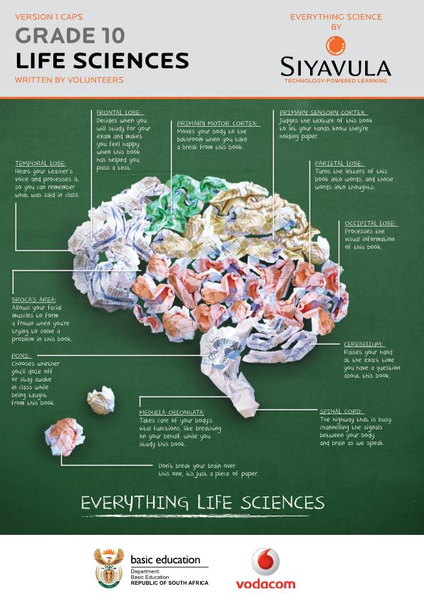 Everything Science Life Sciences Grade 10 Learner Book