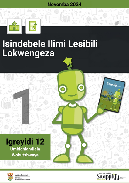 Isindebele Ilimi Lesibili Lokwengeza Iphepha Lokuthoma Igreyidi 12 Novemba 2024 Umhlahlandlela Wokutshwaya