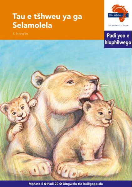 eBook (ePDF): Via Afrika Sepedi HL G05 Reader 20