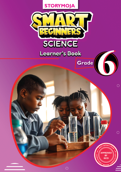 Smart Beginners Science  Grade 6 Learners Book