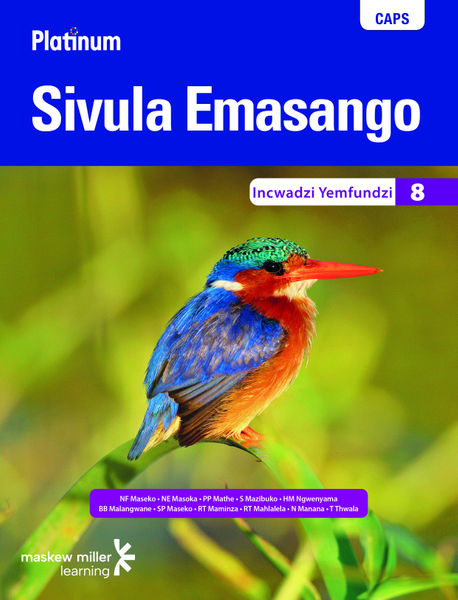 PLATINUM SIVULA EMASANGO SISWATI HL GR 8 (LEARNERS BOOK)