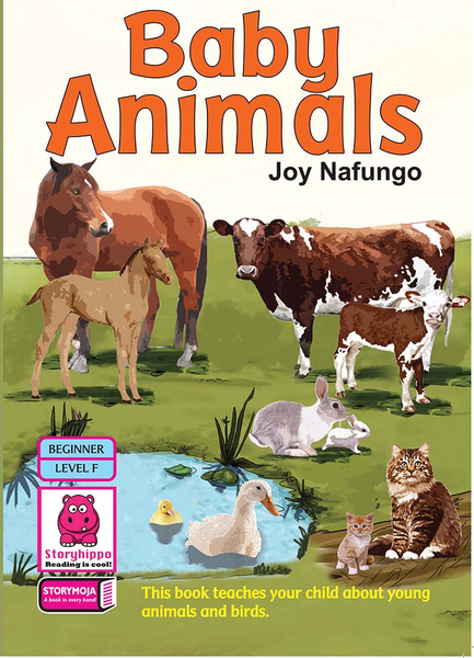 Baby Animals