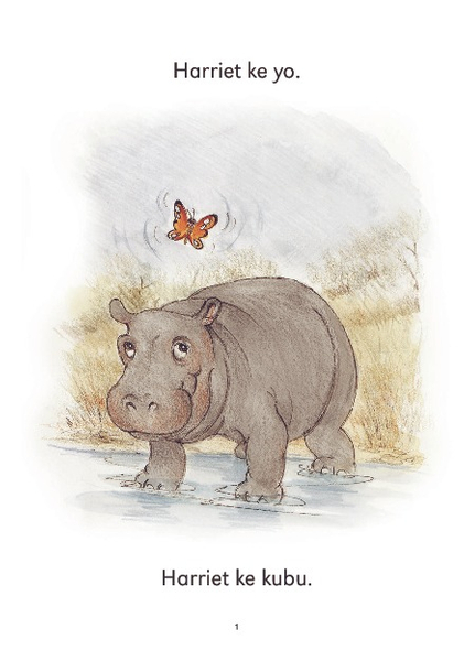 E CUB READING SCHEME (SETSWANA) LEVEL 1 BK 2:KUBU E BIDIWAN