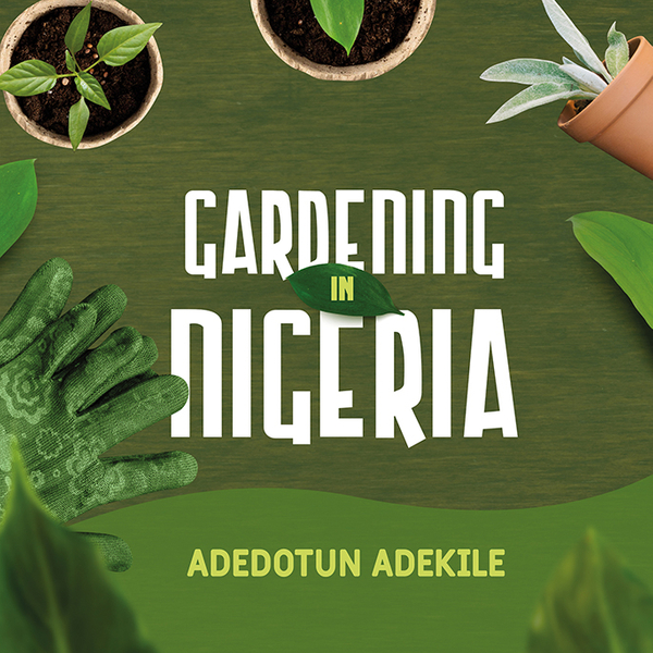 Gardening in Nigeria