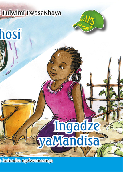 E SISWATI GRADED READER:GR4 BK 4 KAPTENI MANDLENKHO ...