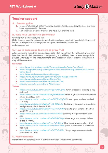 Study and Master FET Phase Worksheet 6 Teacher Support