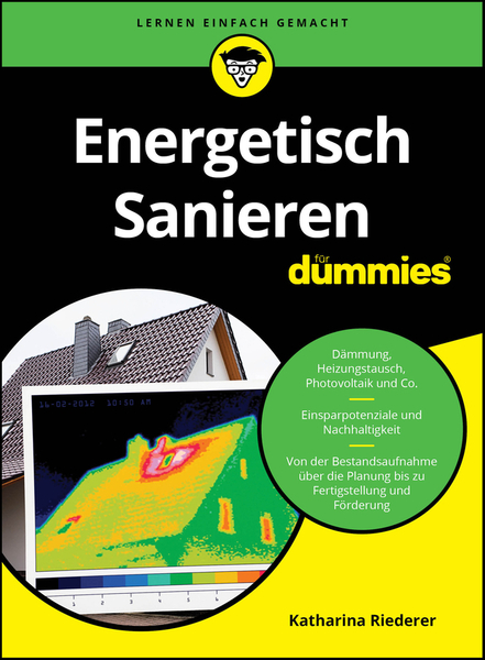 Energetisch Sanieren für Dummies
