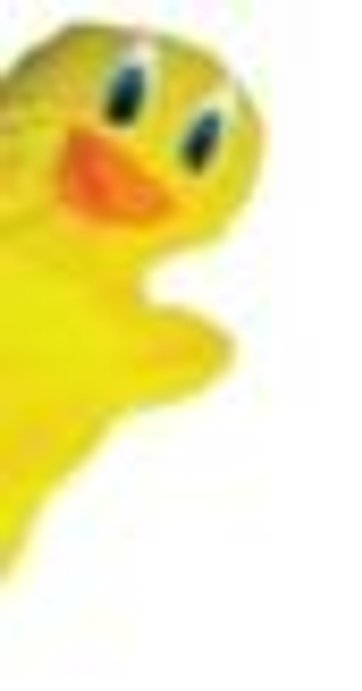 EPUB MASIHAMBISANE GRADE 2 LEARNER