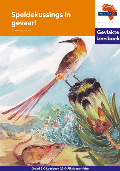 eBoek (ePDF): Via Afrika Afrikaans HL G05 Leesboek 22