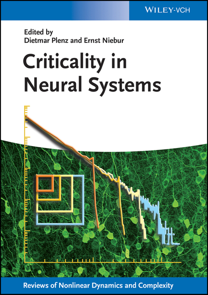 Criticality in Neural Systems