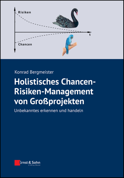 Holistisches Chancen-Risiken-Management von Grossprojekten