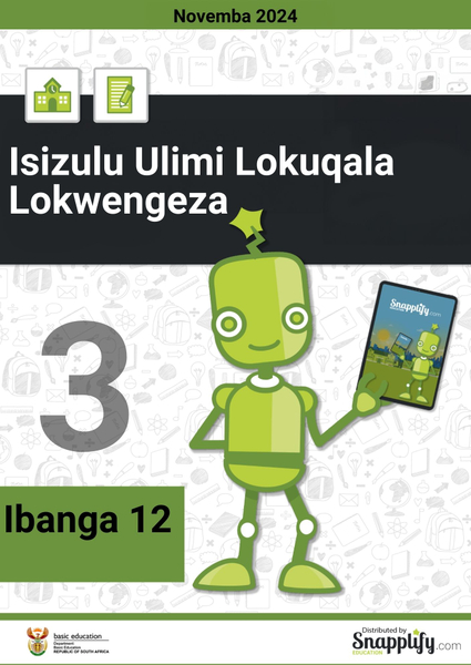 Isizulu Ulimi Lokuqala Lokwengeza Iphepha Lesithathu Ibanga 12 Novemba 2024