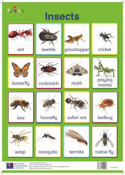 Premier Insects Chart