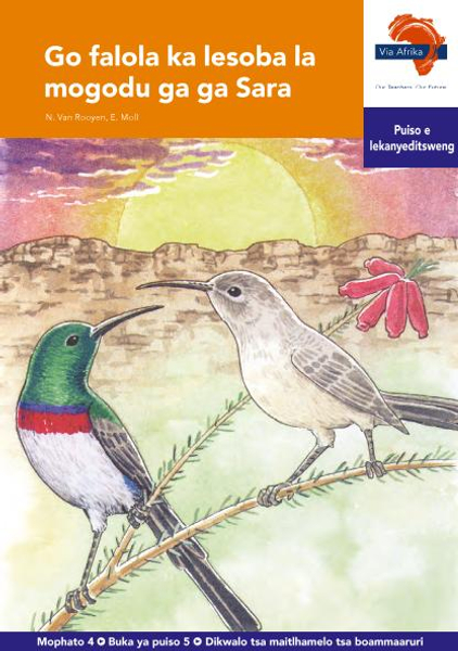 eBook (ePDF): Via Afrika Setswana HL G04 Reader 5