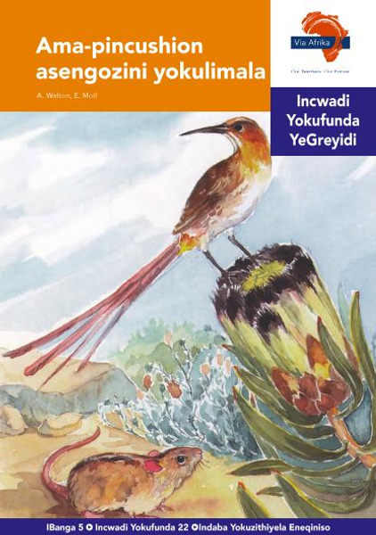 eBook (ePDF): Via Afrika isiNdebele HL G05 Reader 22