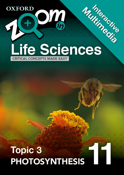 Photosynthesis examples picture