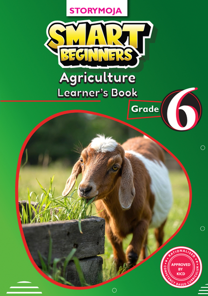 Smart Beginners Agriculture Grade 6 Learners Book