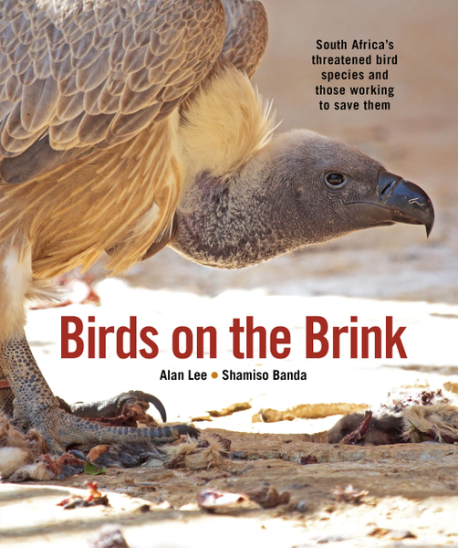 Birds on the Brink