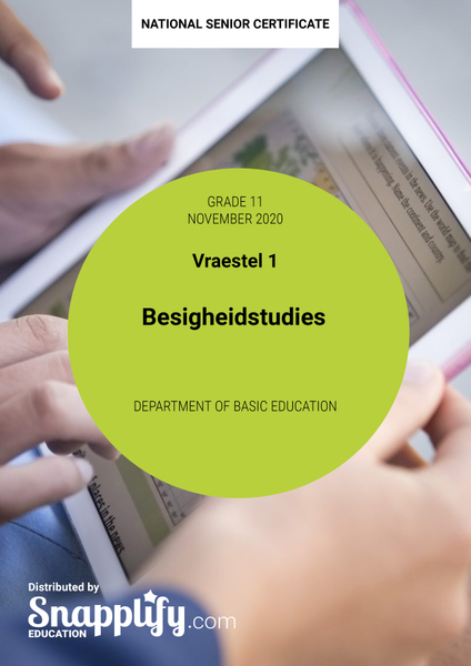 Besigheidstudies Vraestel 1 Grade 11 November 2020