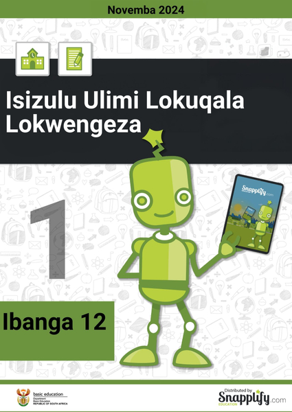 Isizulu Ulimi Lokuqala Lokwengeza Iphepha Lokuqala Ibanga 12 Novemba 2024