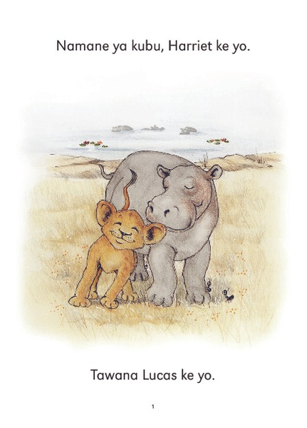 E CUB READING SCHEME (SETSWANA) LEVEL 1 BK 3:LUCAS LE HARR..