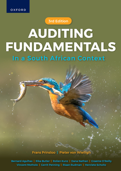 Auditing Fundamentals in South African Context 3e