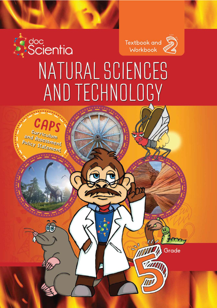 Doc Scientia Grade 5 Textbook and Workbook Book 2 Natural Sciences and Technology 2025