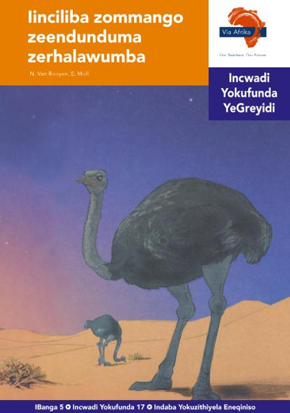 eBook (ePDF): Via Afrika isiNdebele HL G05 Reader 17