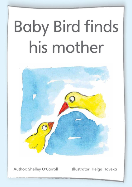 Big Books Baby Bird finds his mother English