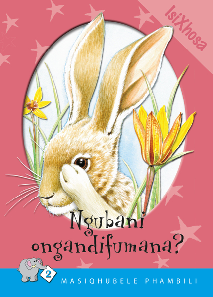 E MASIQHUBELE PHAMBILI SERIES LEVEL 2 BOOK 3 NGUBANE ...