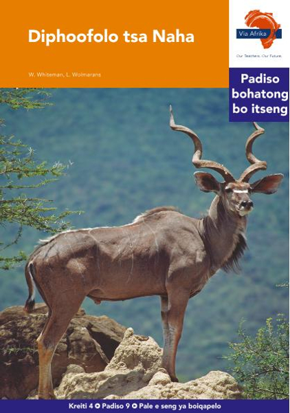 eBook (ePDF): Via Afrika Sesotho HL G04 Reader 9