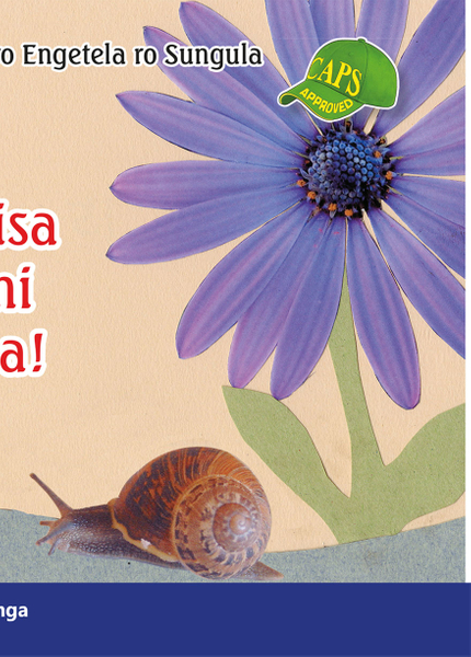 E XITSONGA GRADED READER: GR 5 BK 4 LANGUTISA PHATENI YA MIN