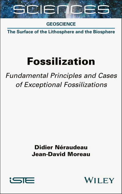 Fossilization