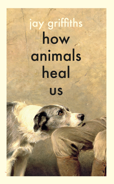 How Animals Heal Us