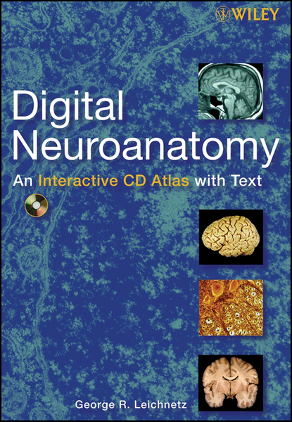 Digital Neuroanatomy