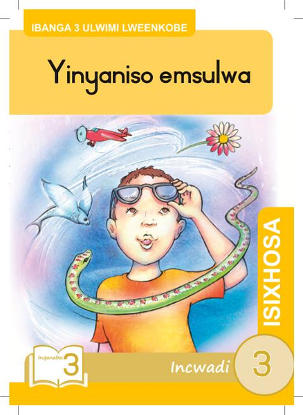 Yinyaniso emsulwa