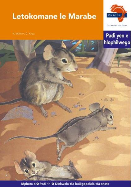 eBook (ePDF): Via Afrika Sepedi HL G04 Reader 11