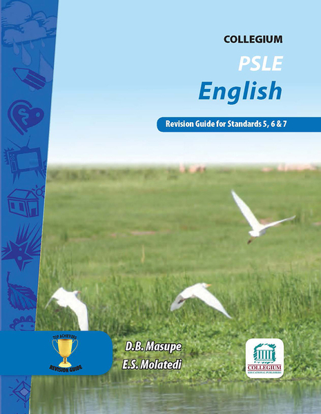 eBook (ePDF): Top Achievers PSLE English