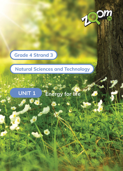 Natural Sciences and Technology Grade 4 Term 3 Unit 1 Energy for life