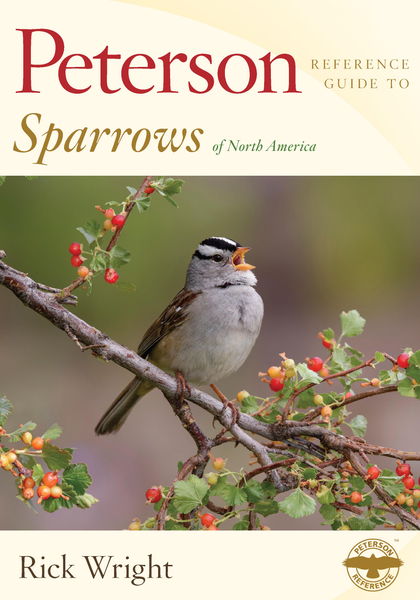 Peterson Reference Guide To Sparrows Of North America