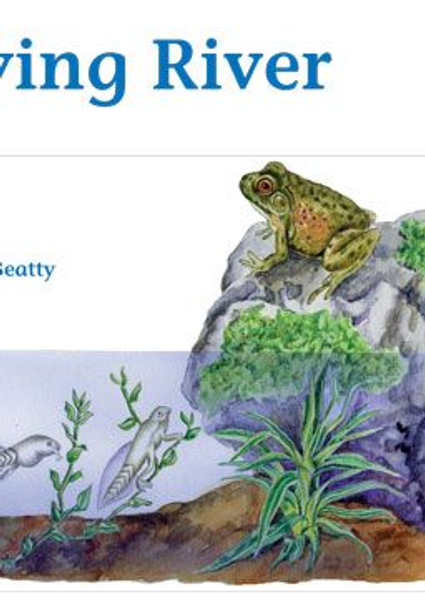 JUMBO INFORMATION READER: BLUE - A LIVING RIVER (Library)