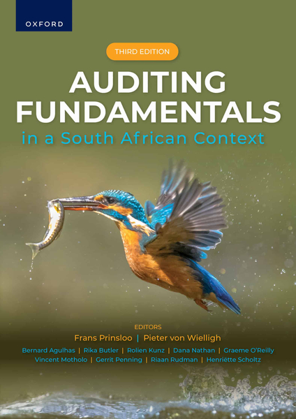 Auditing Fundamentals in a South African Context 3e (LIB)