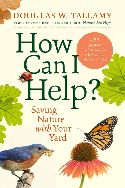 How Can I Help?