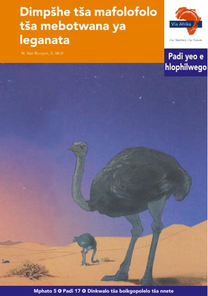 eBook (ePDF): Via Afrika Sepedi HL G05 Reader 17